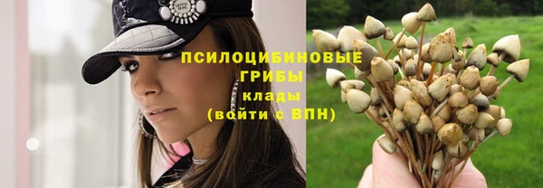 кокаин премиум Алексеевка
