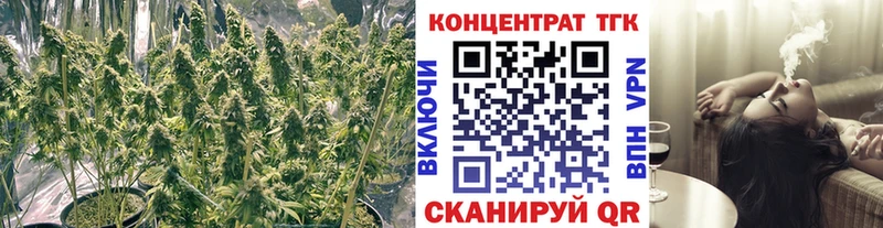 ТГК концентрат  где купить наркотик  Пушкино 