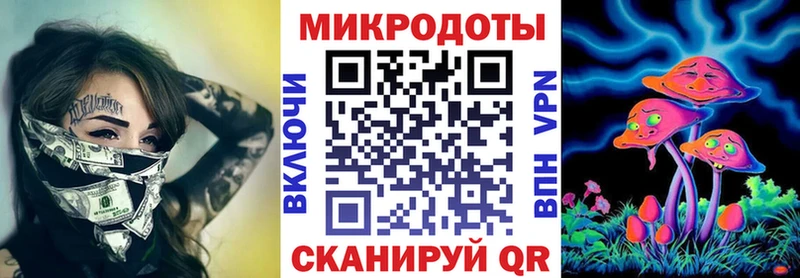 Псилоцибиновые грибы Psilocybe  закладка  Пушкино 