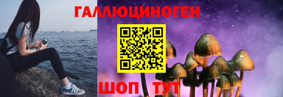 Пушкино  Псилоцибиновые грибы мухоморы  Псилоцибиновые грибы ЛСД  Вход с VPN 