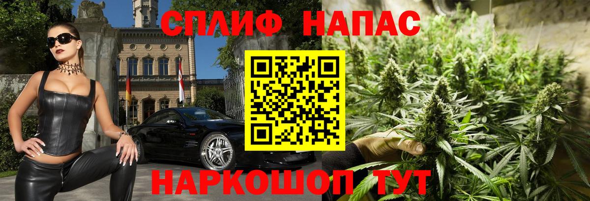 Конопля конопля Пушкино